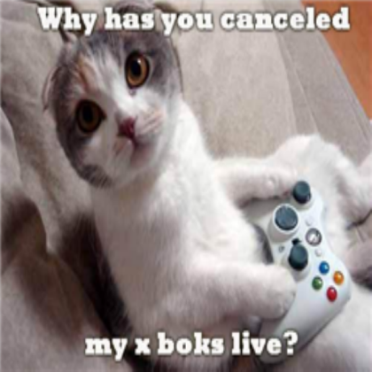 XBOX KITTY