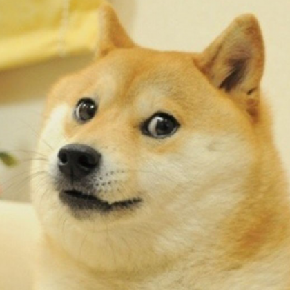 doge1.PNG